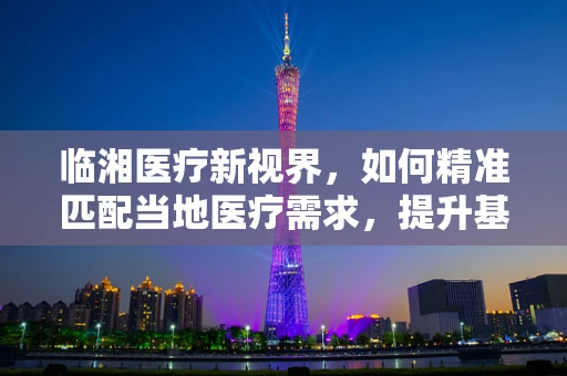临湘医疗新视界，如何精准匹配当地医疗需求，提升基层诊疗效能？