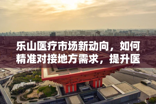 乐山医疗市场新动向，如何精准对接地方需求，提升医疗设备采购效率？