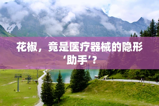 花椒，竟是医疗器械的隐形‘助手’？