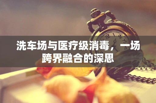 洗车场与医疗级消毒，一场跨界融合的深思