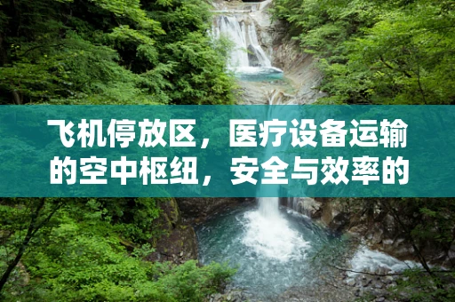 飞机停放区，医疗设备运输的空中枢纽，安全与效率的双重考量