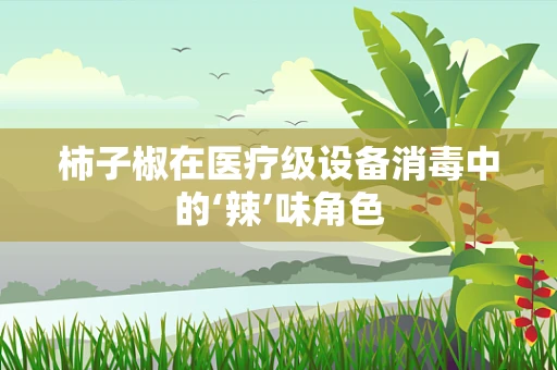 柿子椒在医疗级设备消毒中的‘辣’味角色