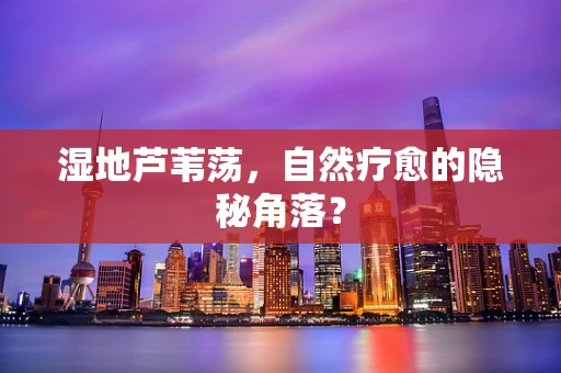 湿地芦苇荡，自然疗愈的隐秘角落？