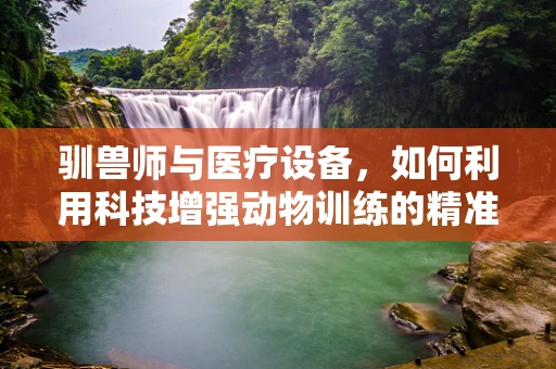 驯兽师与医疗设备，如何利用科技增强动物训练的精准度？
