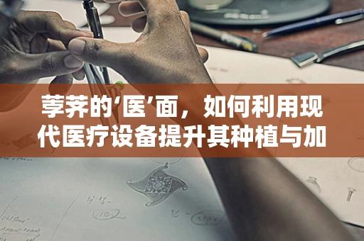 荸荠的‘医’面，如何利用现代医疗设备提升其种植与加工的效率？