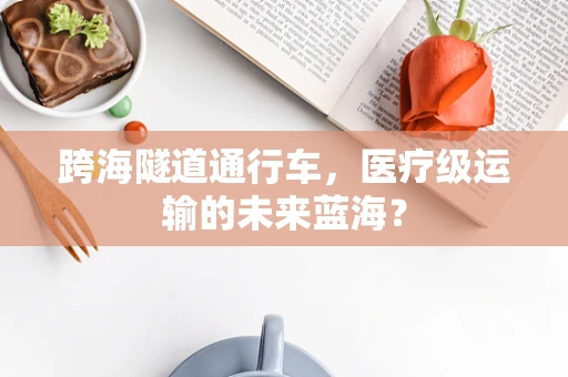 跨海隧道通行车，医疗级运输的未来蓝海？