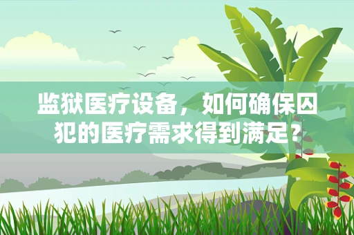 监狱医疗设备，如何确保囚犯的医疗需求得到满足？