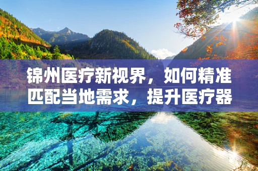 锦州医疗新视界，如何精准匹配当地需求，提升医疗器械效能？
