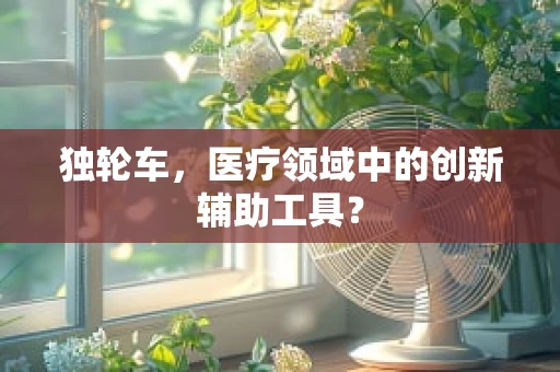 独轮车，医疗领域中的创新辅助工具？