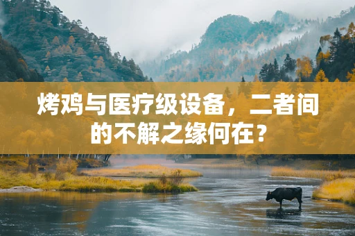 烤鸡与医疗级设备，二者间的不解之缘何在？