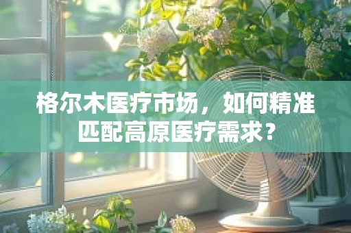 格尔木医疗市场，如何精准匹配高原医疗需求？