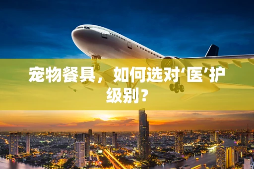 宠物餐具，如何选对‘医’护级别？