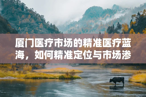 厦门医疗市场的精准医疗蓝海，如何精准定位与市场渗透？