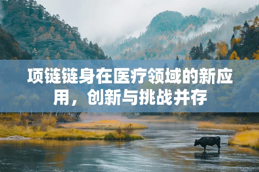 项链链身在医疗领域的新应用，创新与挑战并存