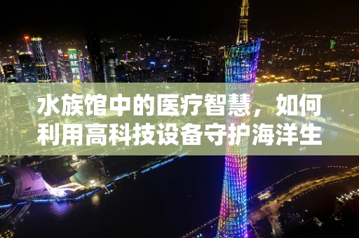 水族馆中的医疗智慧，如何利用高科技设备守护海洋生物健康？