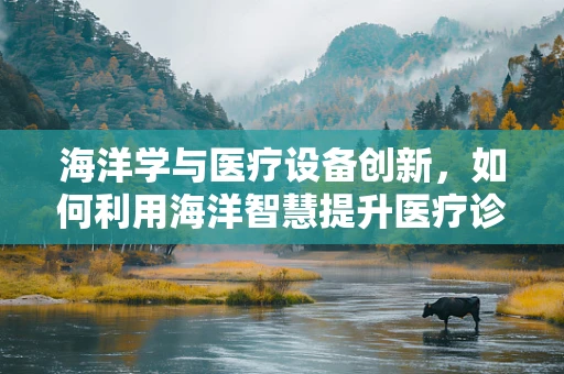 海洋学与医疗设备创新，如何利用海洋智慧提升医疗诊断精度？