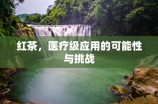 红茶，医疗级应用的可能性与挑战
