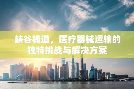 峡谷栈道，医疗器械运输的独特挑战与解决方案