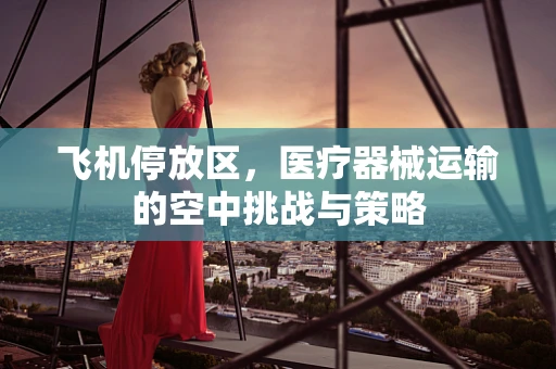 飞机停放区，医疗器械运输的空中挑战与策略
