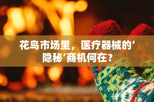 花鸟市场里，医疗器械的‘隐秘’商机何在？