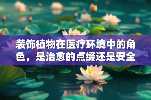 装饰植物在医疗环境中的角色，是治愈的点缀还是安全的隐患？