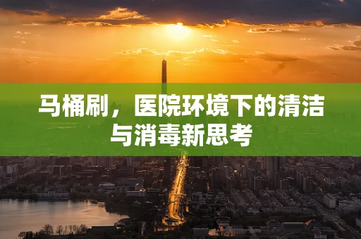 马桶刷，医院环境下的清洁与消毒新思考