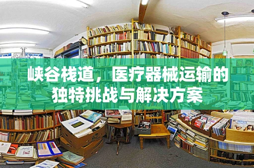峡谷栈道，医疗器械运输的独特挑战与解决方案