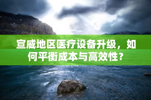 宣威地区医疗设备升级，如何平衡成本与高效性？