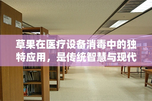草果在医疗设备消毒中的独特应用，是传统智慧与现代科技的完美融合吗？