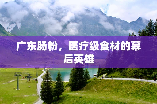 广东肠粉，医疗级食材的幕后英雄