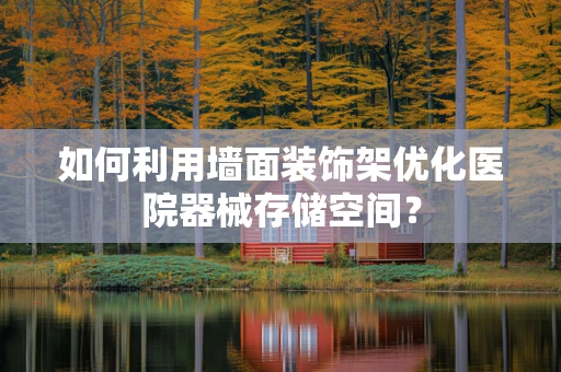 如何利用墙面装饰架优化医院器械存储空间？