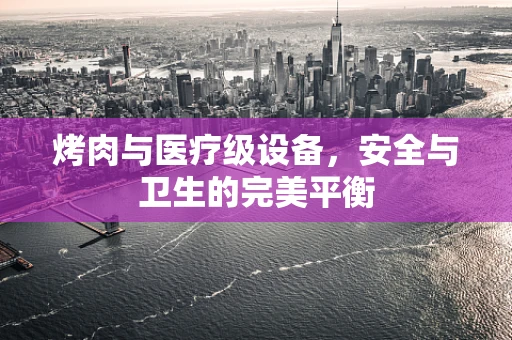 烤肉与医疗级设备，安全与卫生的完美平衡