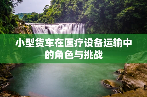 小型货车在医疗设备运输中的角色与挑战