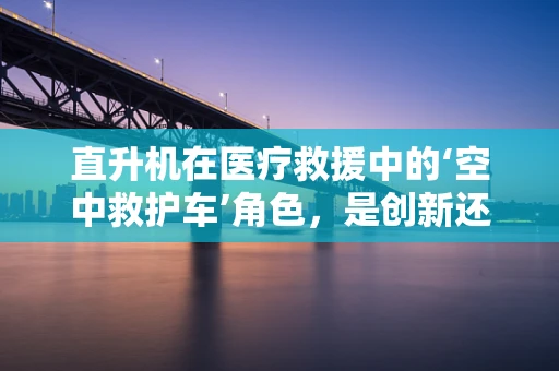 直升机在医疗救援中的‘空中救护车’角色，是创新还是过度？