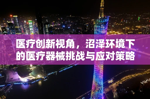医疗创新视角，沼泽环境下的医疗器械挑战与应对策略