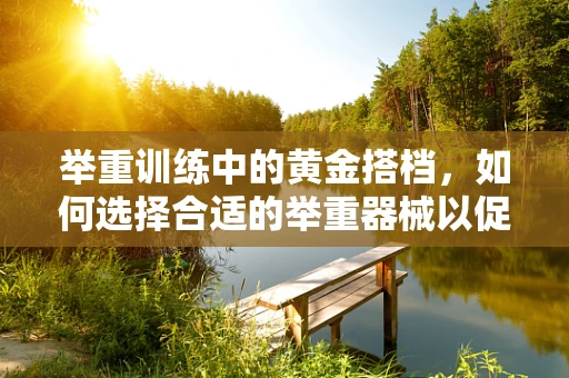 举重训练中的黄金搭档，如何选择合适的举重器械以促进康复？