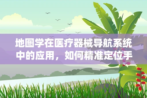 地图学在医疗器械导航系统中的应用，如何精准定位手术路径？