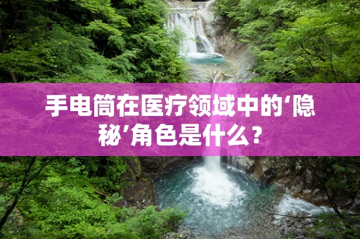 手电筒在医疗领域中的‘隐秘’角色是什么？