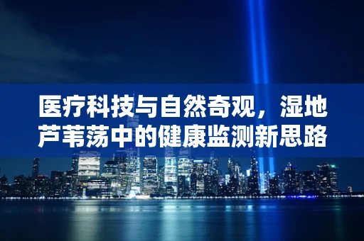 医疗科技与自然奇观，湿地芦苇荡中的健康监测新思路？