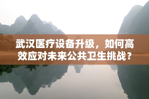 武汉医疗设备升级，如何高效应对未来公共卫生挑战？