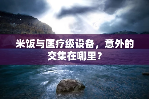 米饭与医疗级设备，意外的交集在哪里？