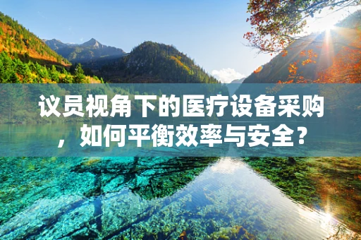 议员视角下的医疗设备采购，如何平衡效率与安全？