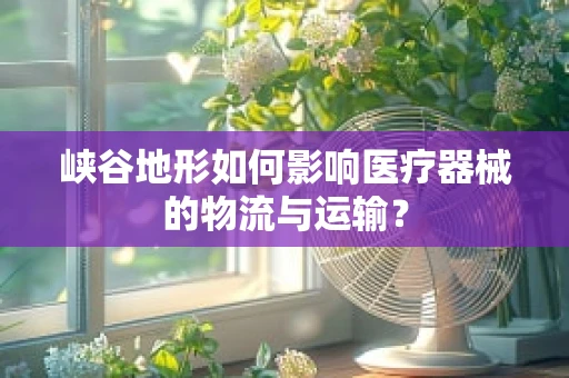 峡谷地形如何影响医疗器械的物流与运输？