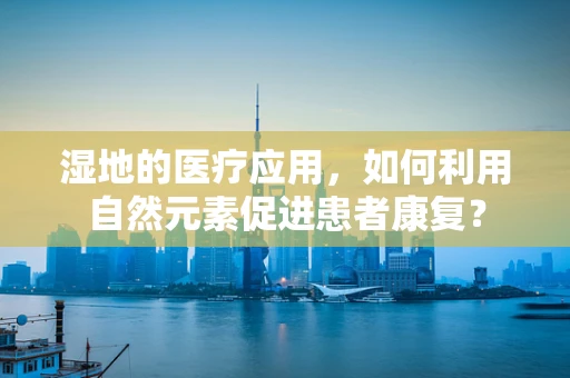 湿地的医疗应用，如何利用自然元素促进患者康复？