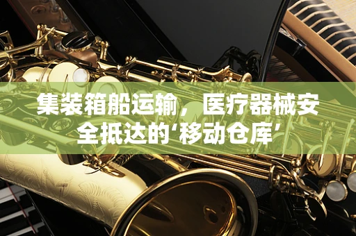 集装箱船运输，医疗器械安全抵达的‘移动仓库’
