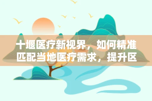 十堰医疗新视界，如何精准匹配当地医疗需求，提升区域诊疗水平？