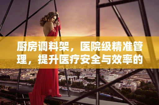 厨房调料架，医院级精准管理，提升医疗安全与效率的隐形助手？