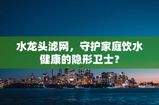 水龙头滤网，守护家庭饮水健康的隐形卫士？