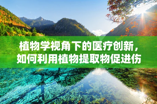 植物学视角下的医疗创新，如何利用植物提取物促进伤口愈合？