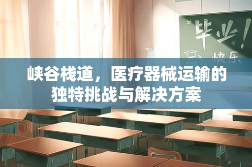 峡谷栈道，医疗器械运输的独特挑战与解决方案